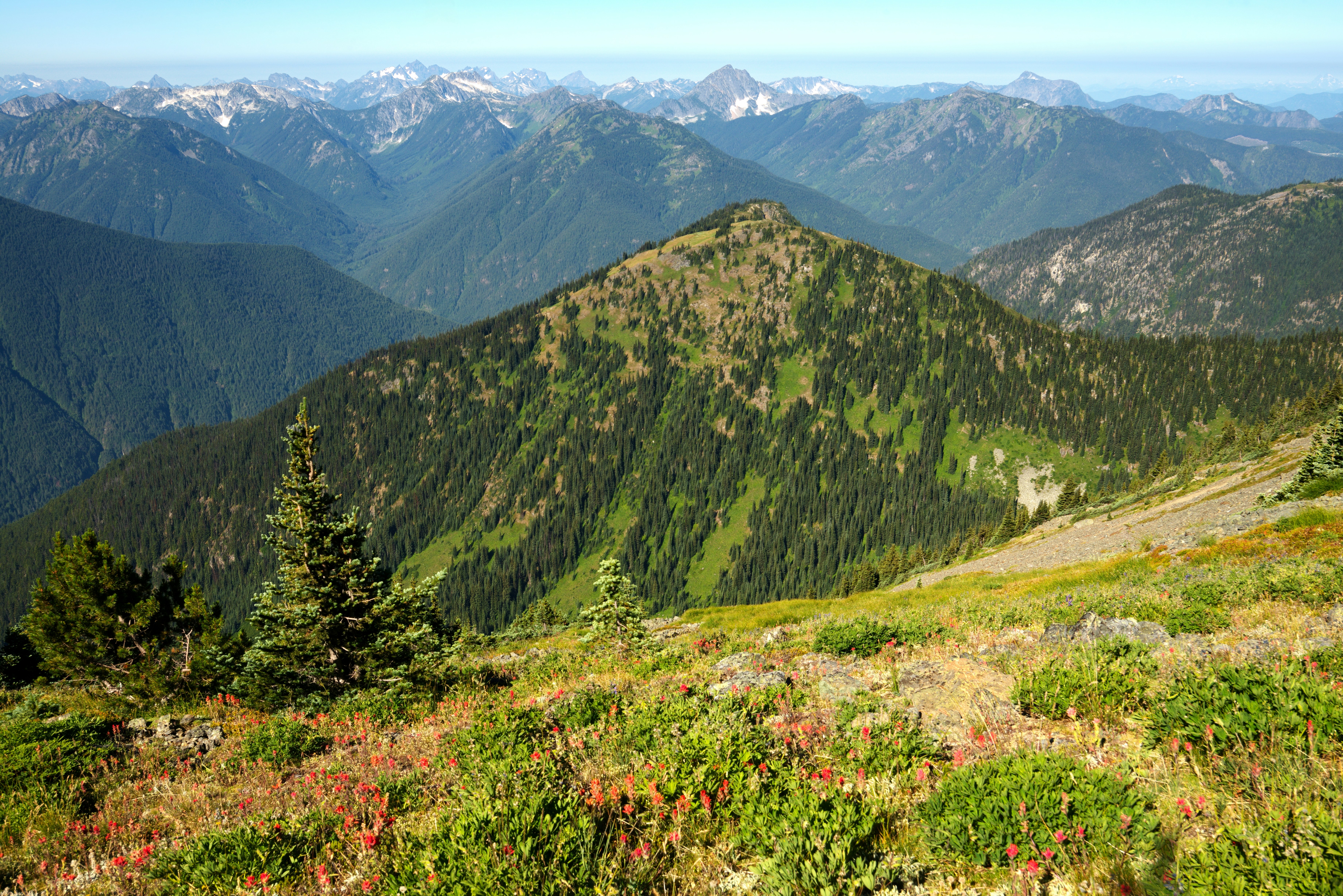 green mountains under white sky during daytime