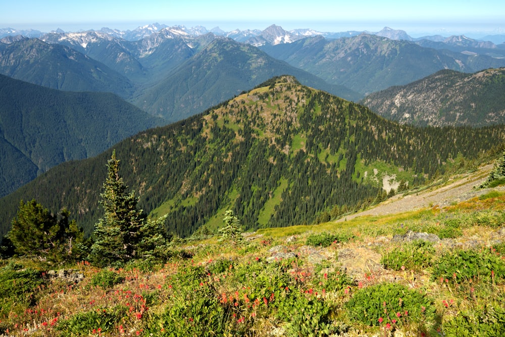 green mountains under white sky during daytime