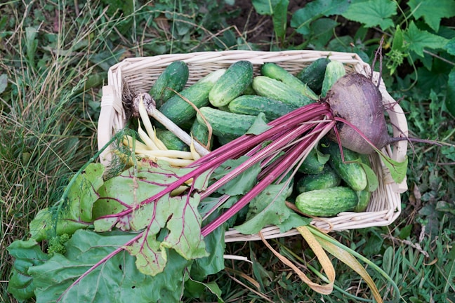 Freshly harvested basket filled with colorful garden vegetables ready for kitchen use.