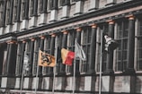 An architectural facade features a series of tall, dark columns and extensive windows. In front of the building, several flags are flying, including a black and yellow flag with a lion emblem, a red and yellow flag, and others in black and white designs.