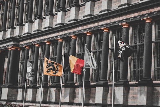 An architectural facade features a series of tall, dark columns and extensive windows. In front of the building, several flags are flying, including a black and yellow flag with a lion emblem, a red and yellow flag, and others in black and white designs.