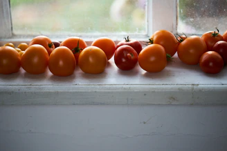 Sunlight streaming through a window onto a display of ripe tomatoes arranged neatly on a white table.