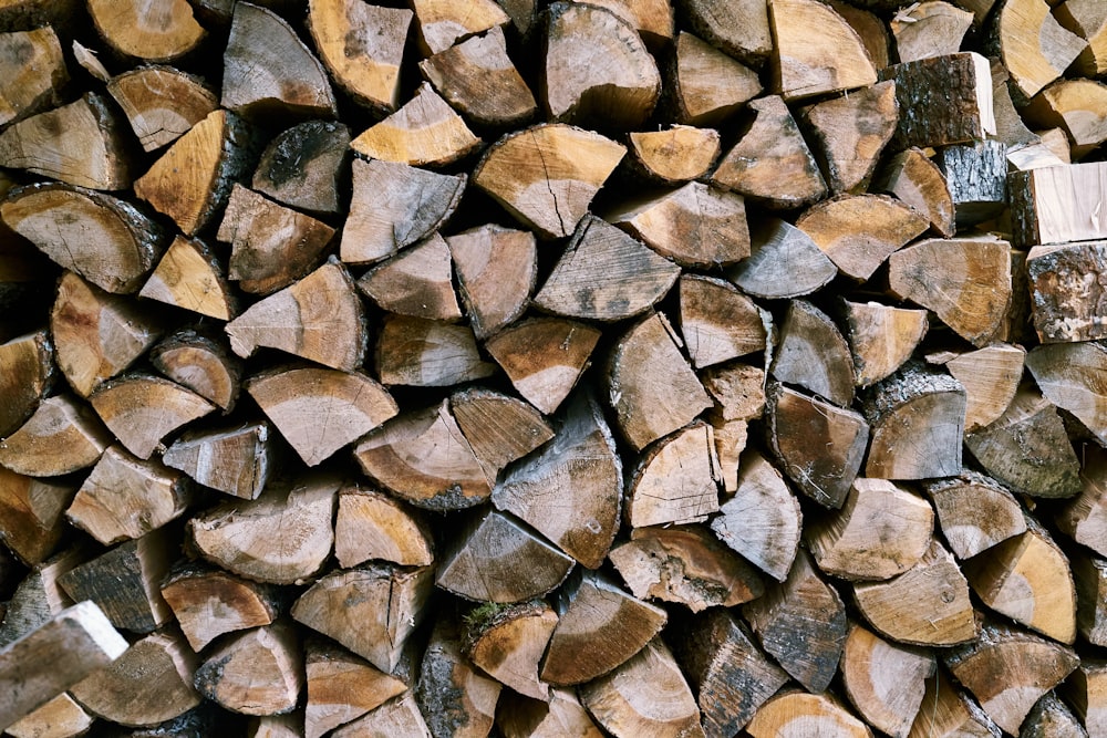 lotto di legna da ardere marrone e nera