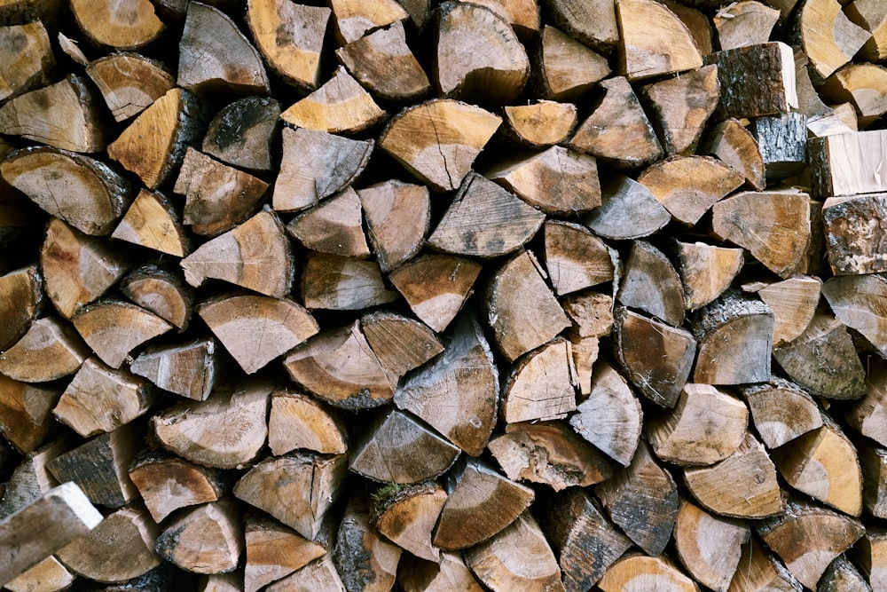 brown and black firewood lot