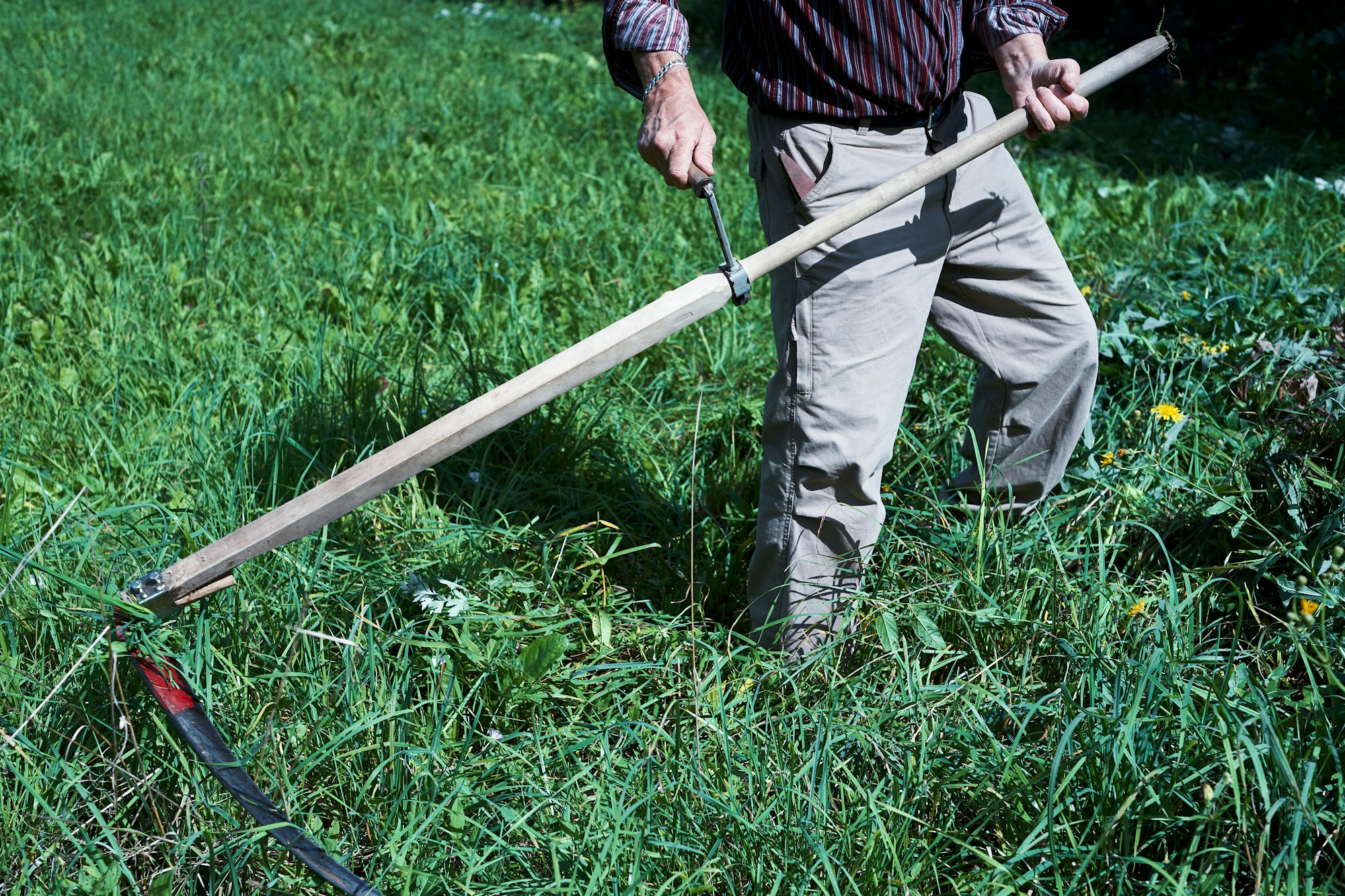 Lawn Mowing  : Tips To Consider When Choosing The Right Time To Stop  For The Year