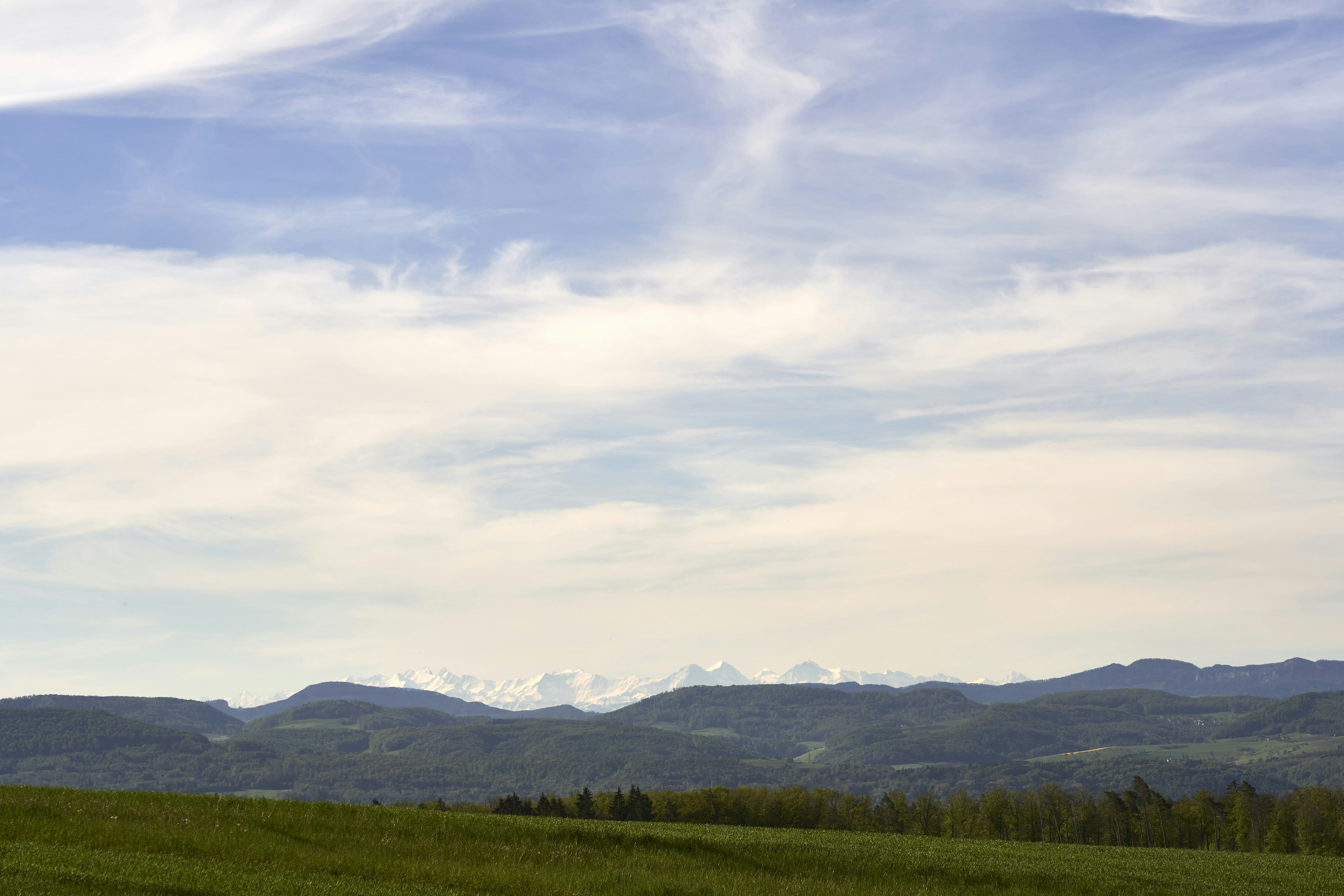 Photo by wolfgang_hasselmann