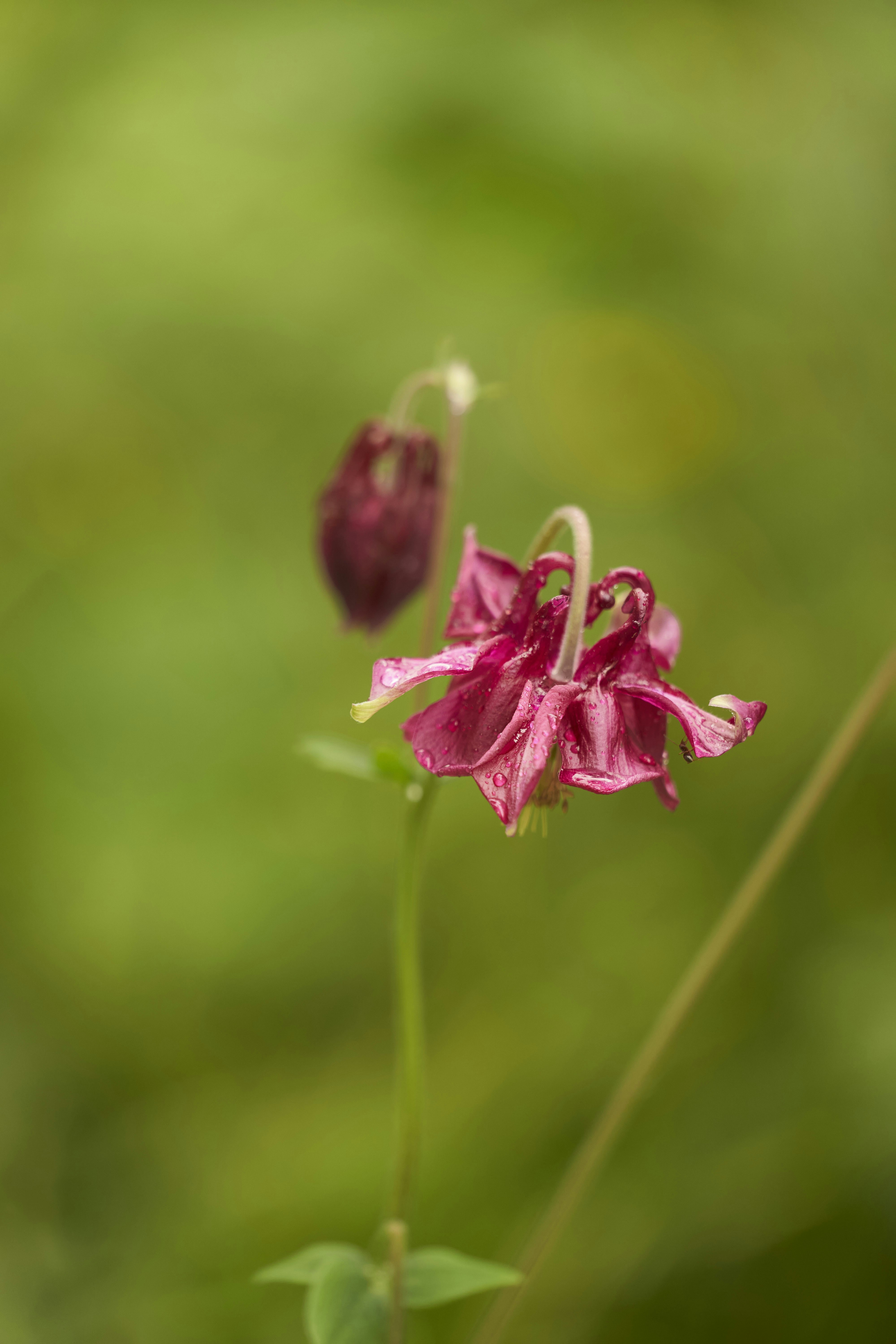 Photo by wolfgang_hasselmann