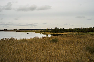 A calm nature scene symbolizing hope and new beginnings.