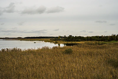 A calm nature scene symbolizing hope and new beginnings.