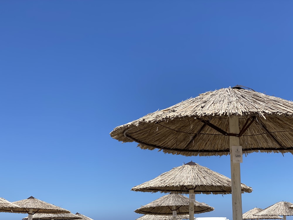 brown and white umbrella on beach during daytime photo – Free Crete Image  on Unsplash