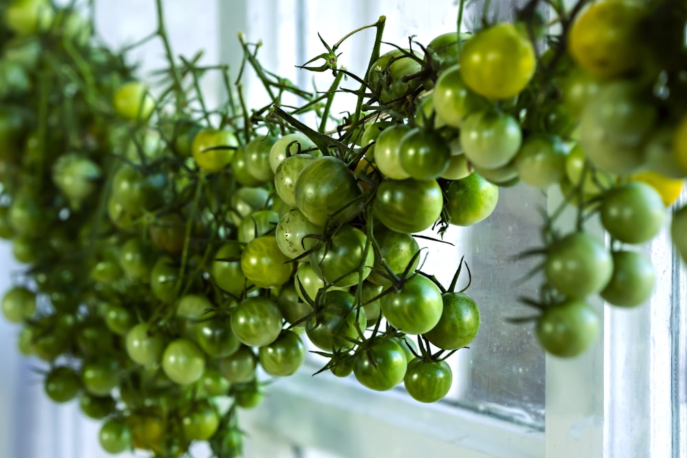 green grapes in clear glass container