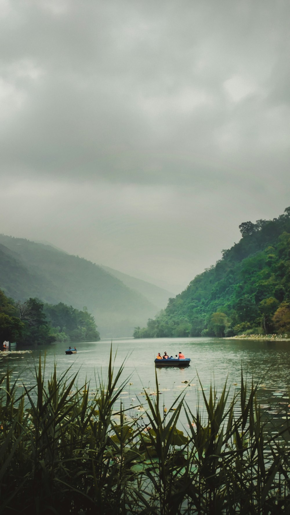 red and white boat on lake near green trees during daytime