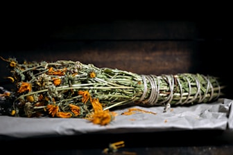 green and yellow plant on black table