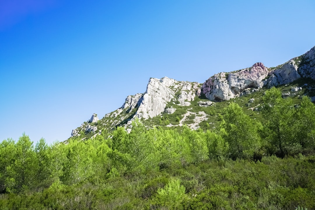 green grass and gray rocky mountain under blue sky during daytime