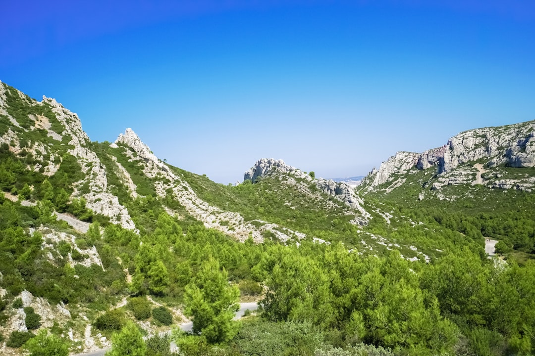 green trees on mountain under blue sky during daytime