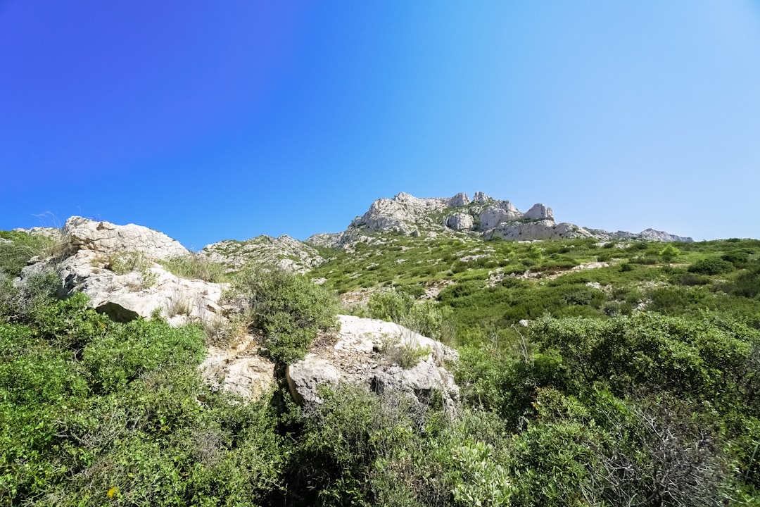 green trees on rocky mountain under blue sky during daytime