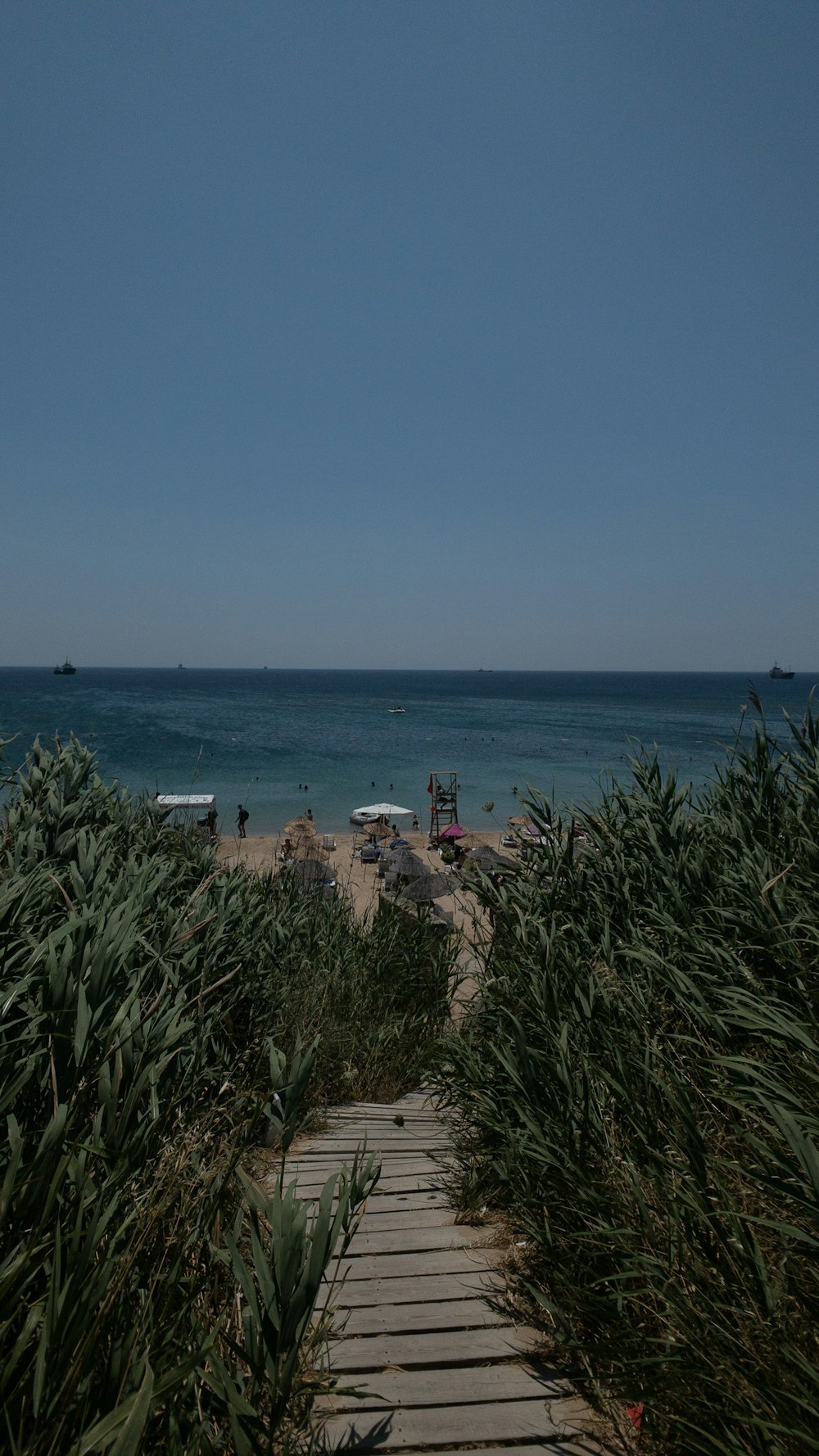 people on beach during daytime