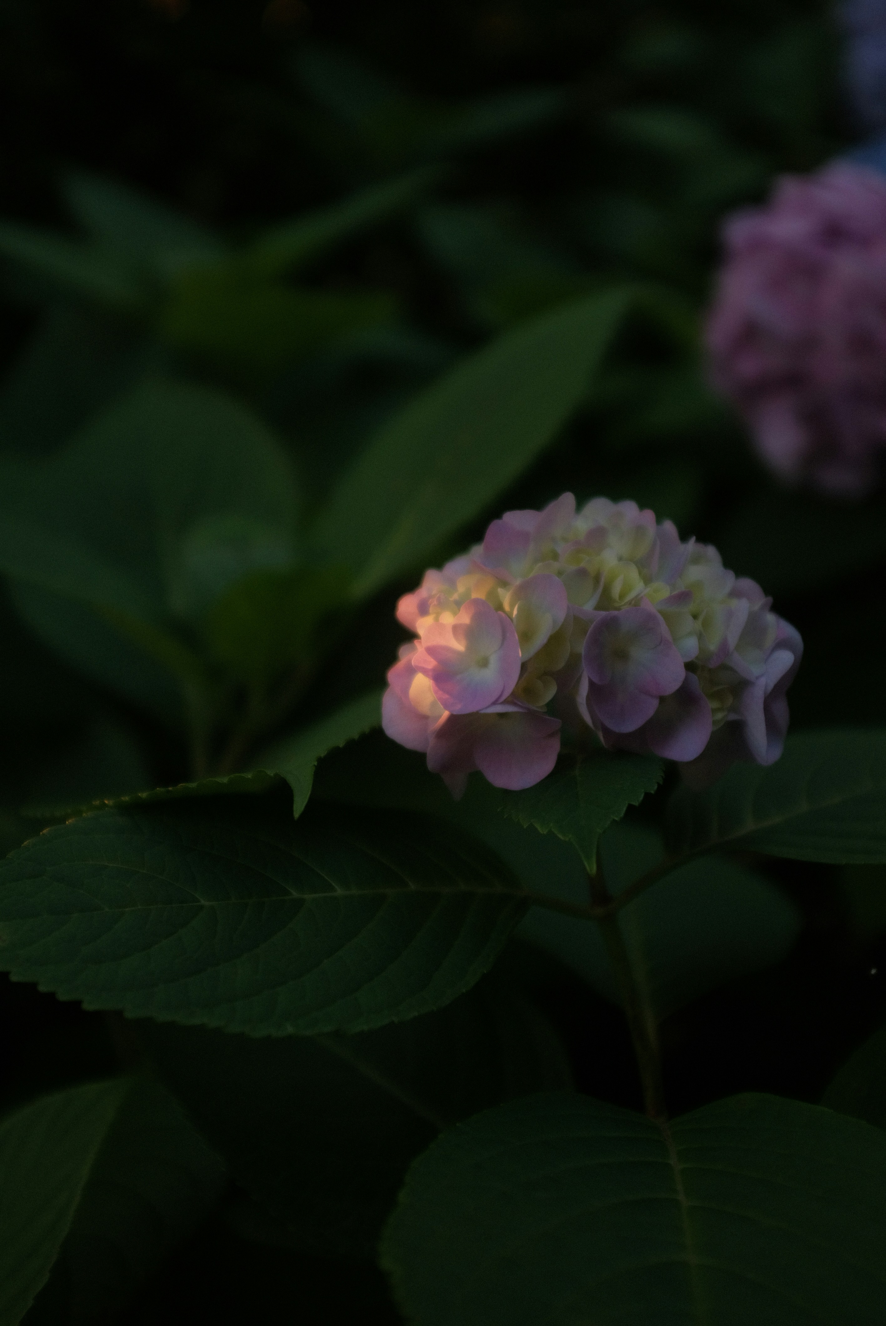 Photo by mak_jp