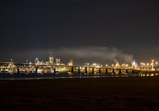 city skyline during night time