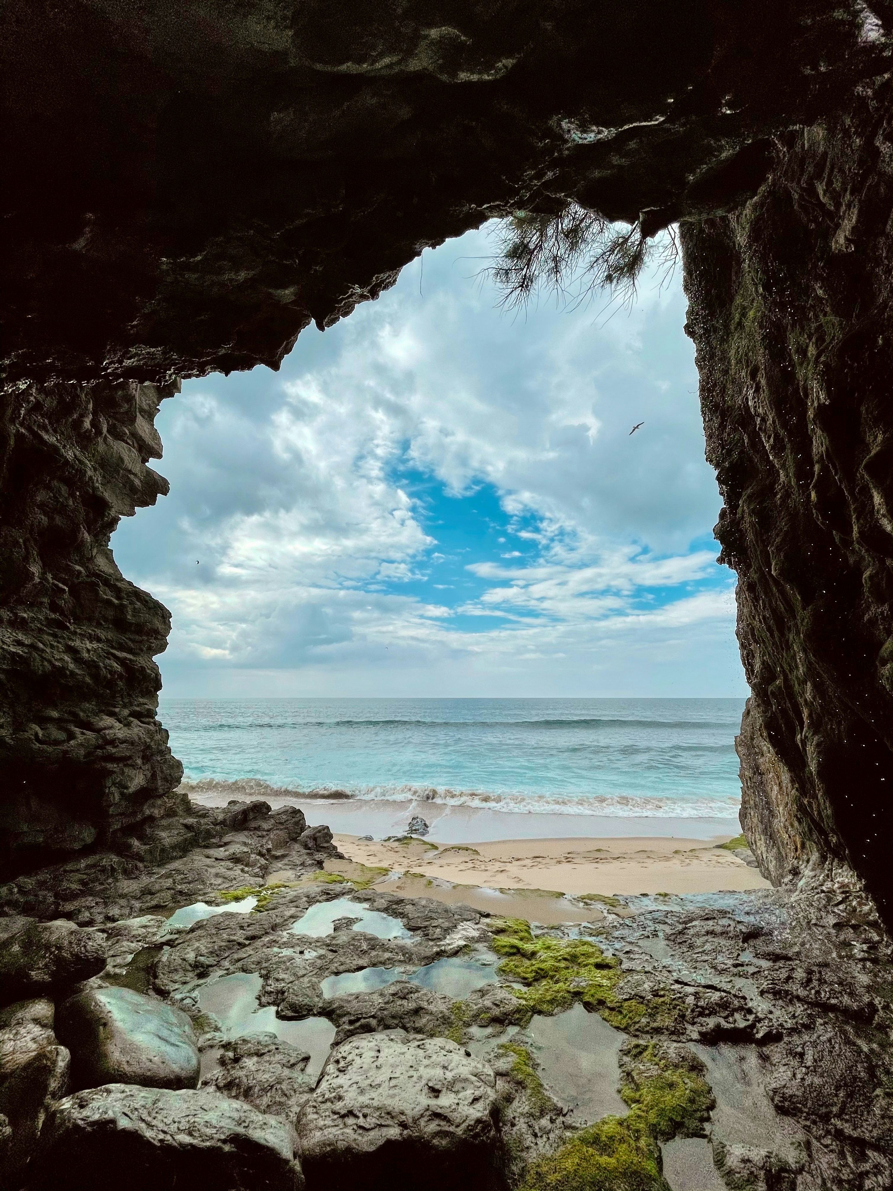 Photo by adamhornyak