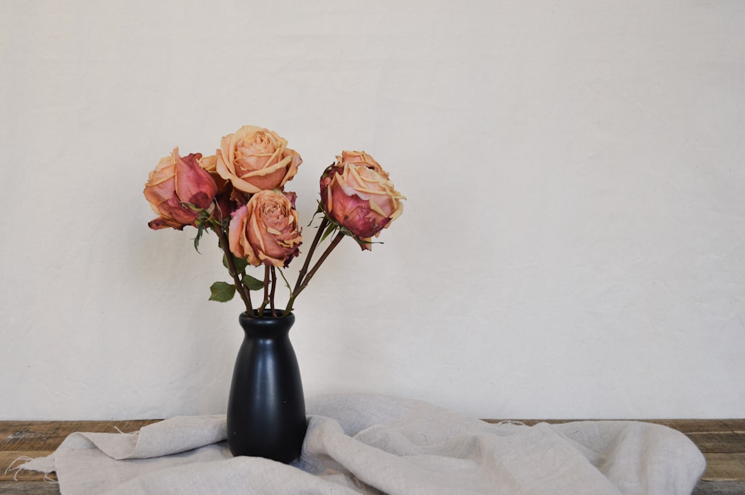 pink roses in black vase