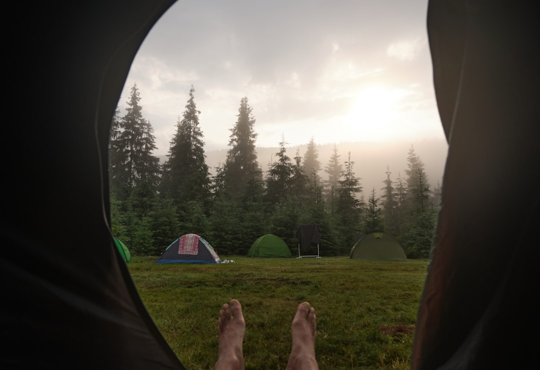 person sitting on green dome tent, Morning view from a tent in the woods