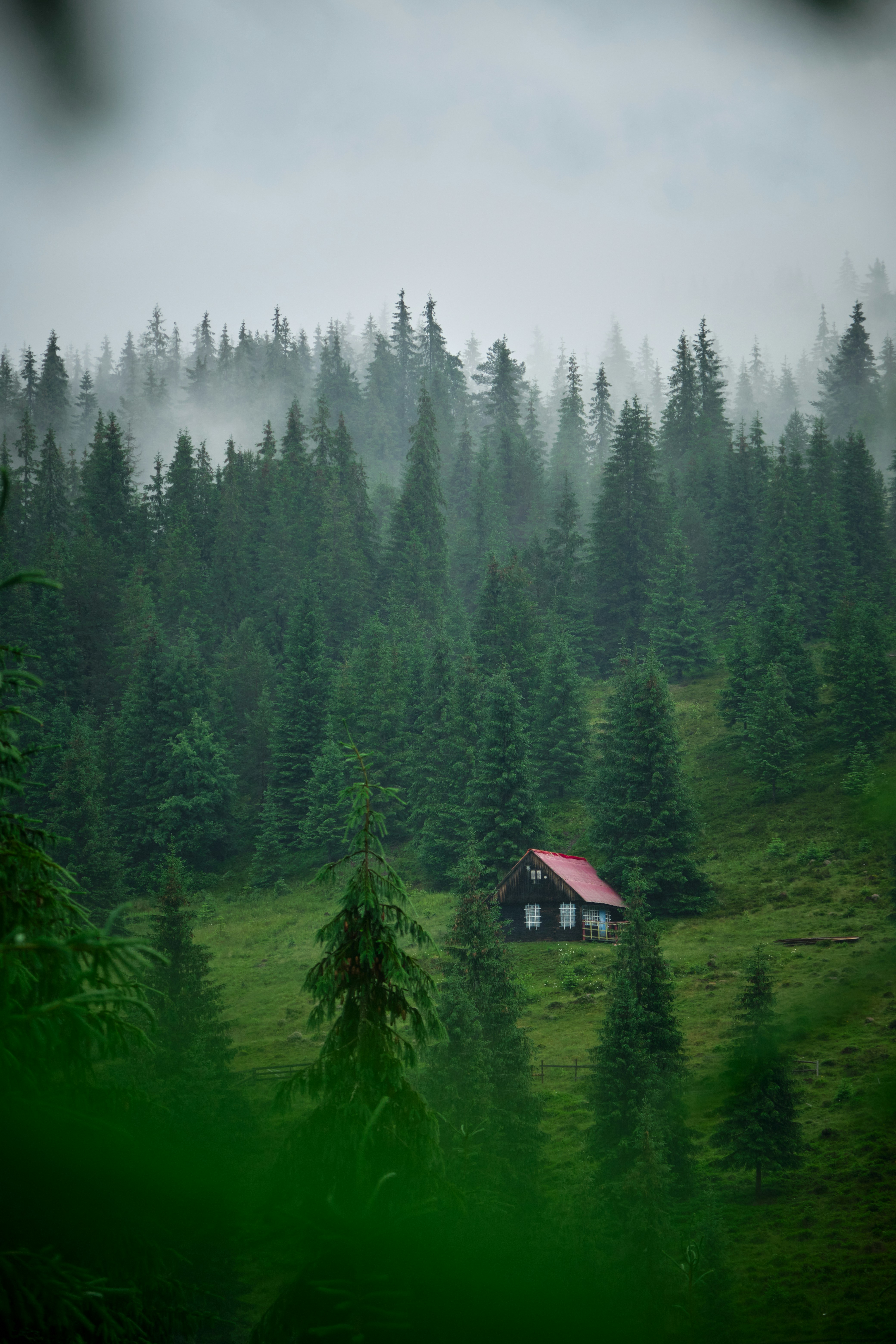 Photo by adamhornyak