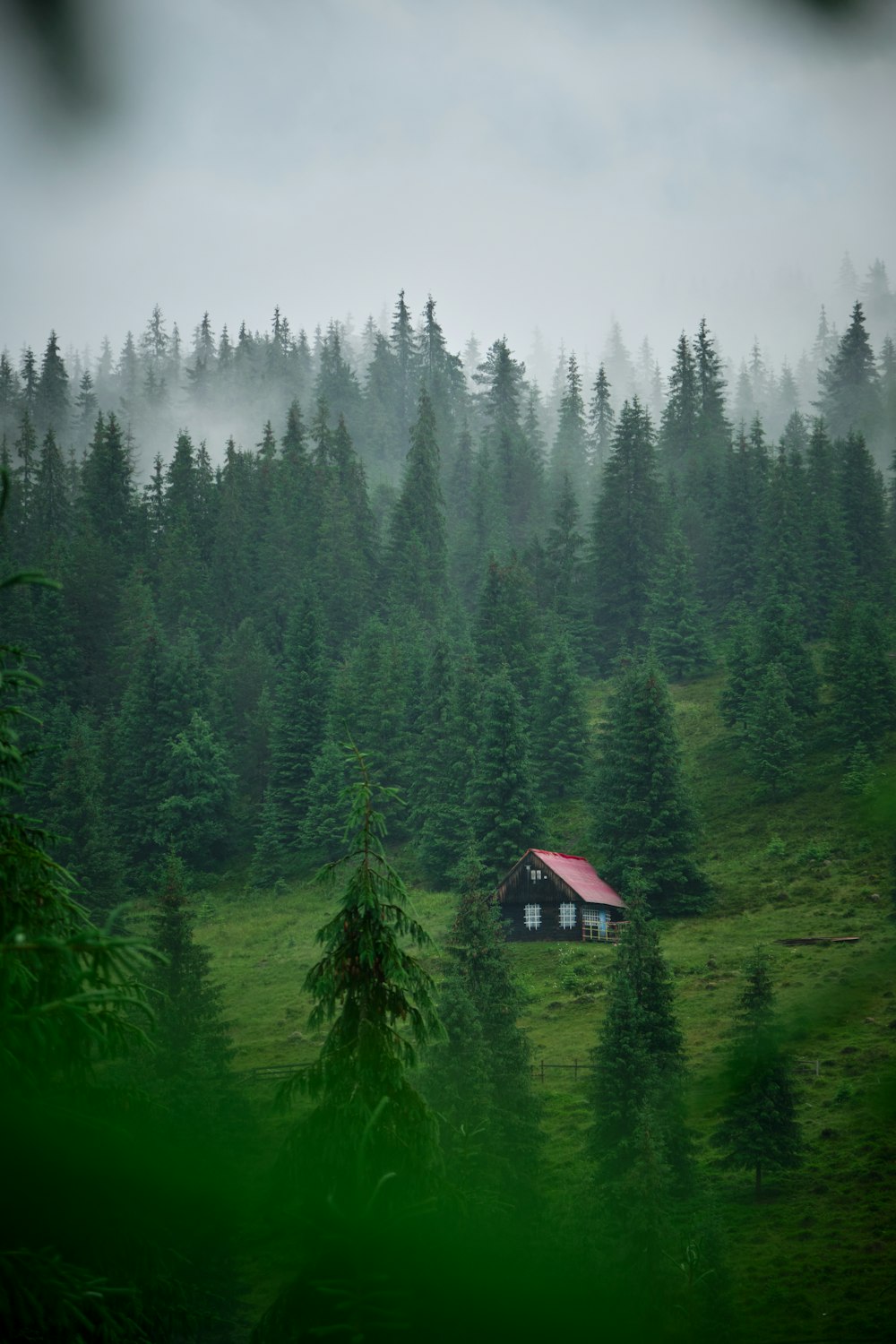 brown wooden house in the middle of green pine trees