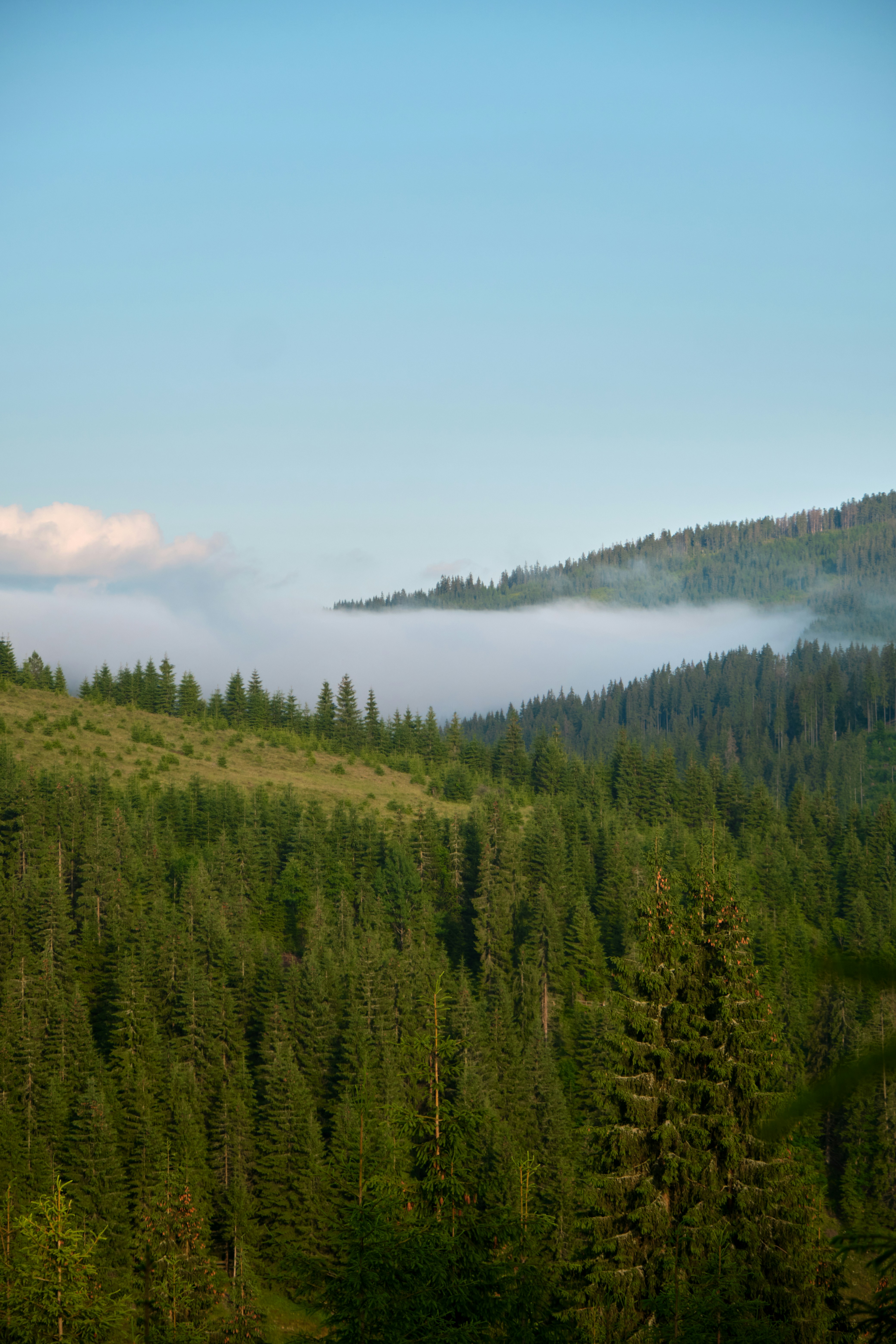 Photo by adamhornyak