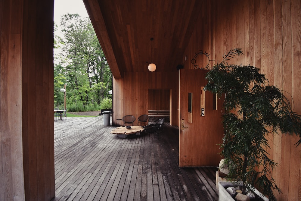 brown wooden bench near green leaf plant