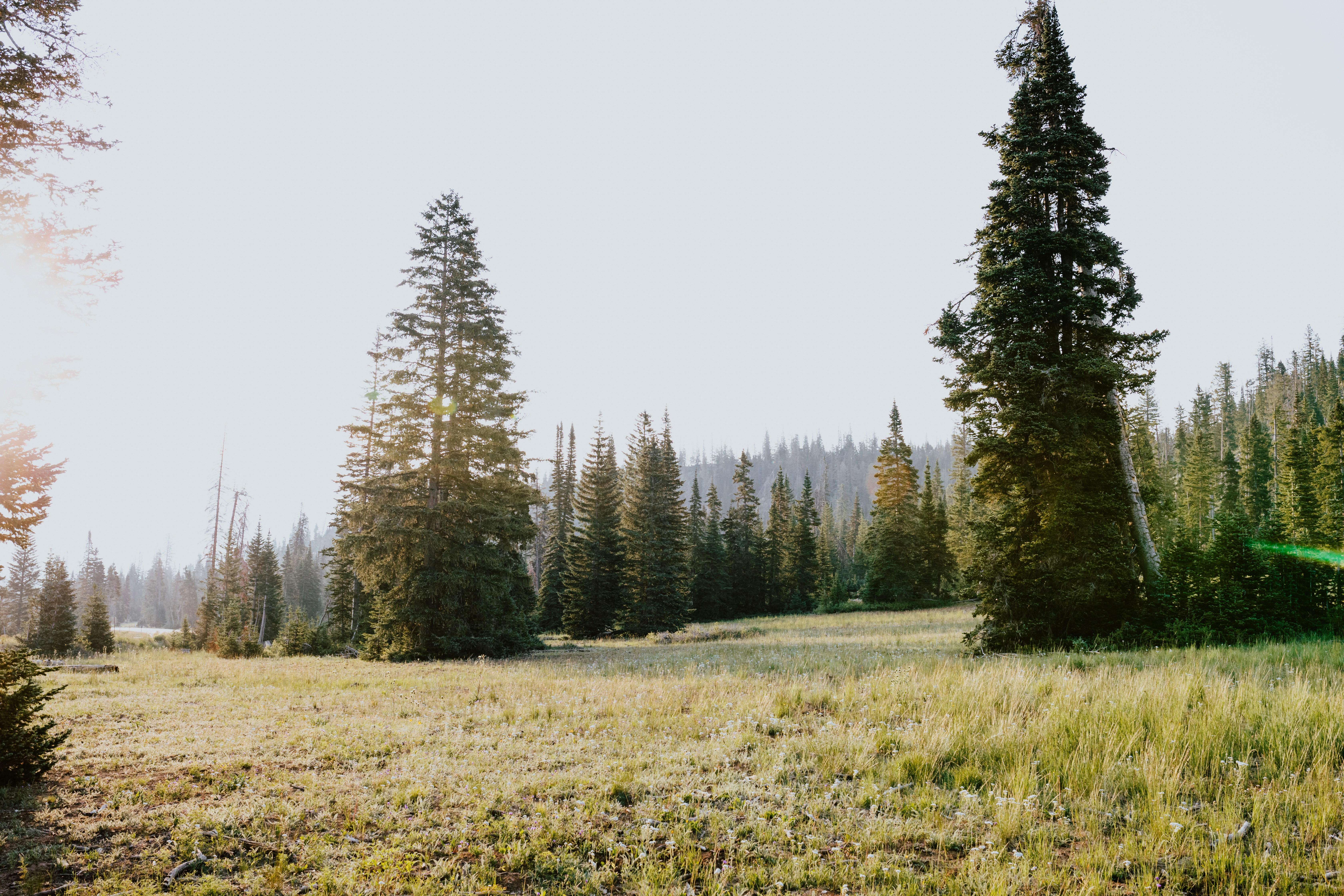 Photo by paularturotorres