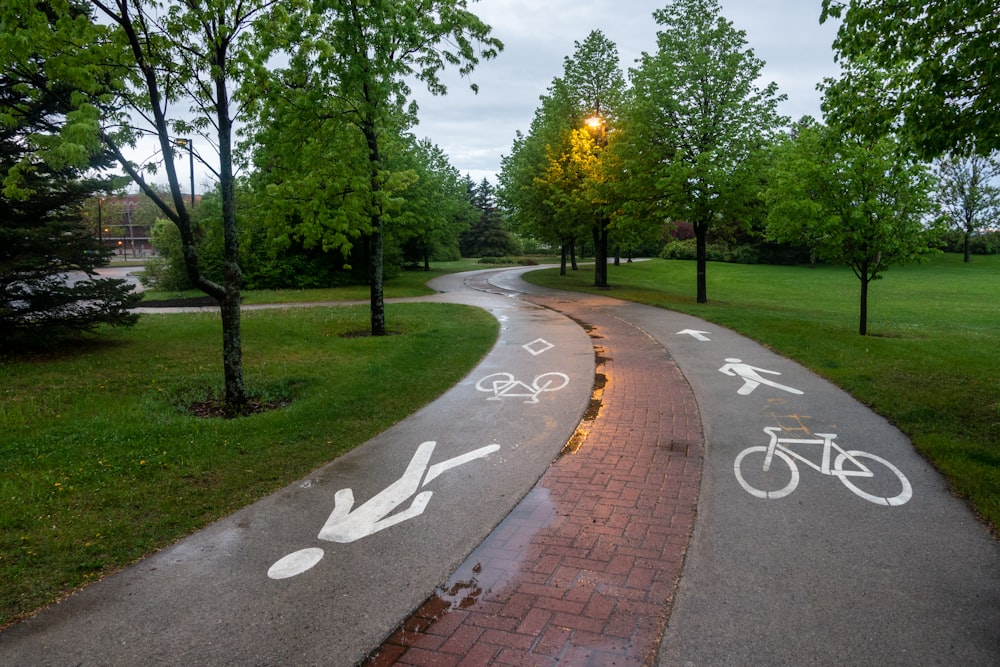 gray concrete pathway between green grass field during daytime