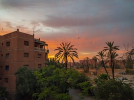 A residential building stands surrounded by lush greenery and tall palm trees. The sky is filled with dramatic, warm hues of orange and pink as the sun sets on the horizon. Birds are seen flying in the sky, adding a sense of motion to the tranquil scene.