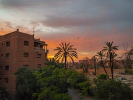 A residential building stands surrounded by lush greenery and tall palm trees. The sky is filled with dramatic, warm hues of orange and pink as the sun sets on the horizon. Birds are seen flying in the sky, adding a sense of motion to the tranquil scene.