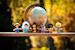 lego mini figures on brown wooden table