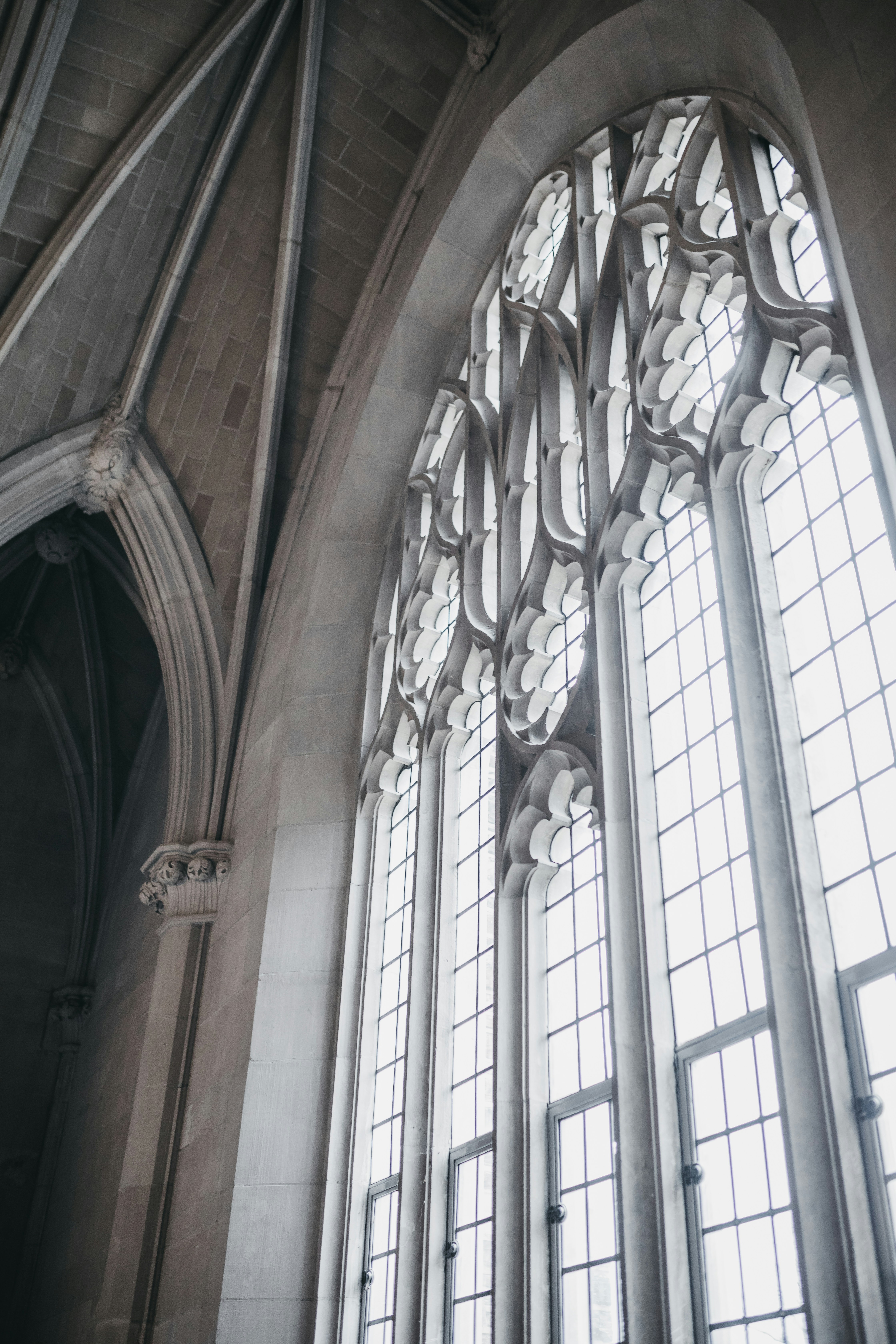 Photo by tanleemarquis