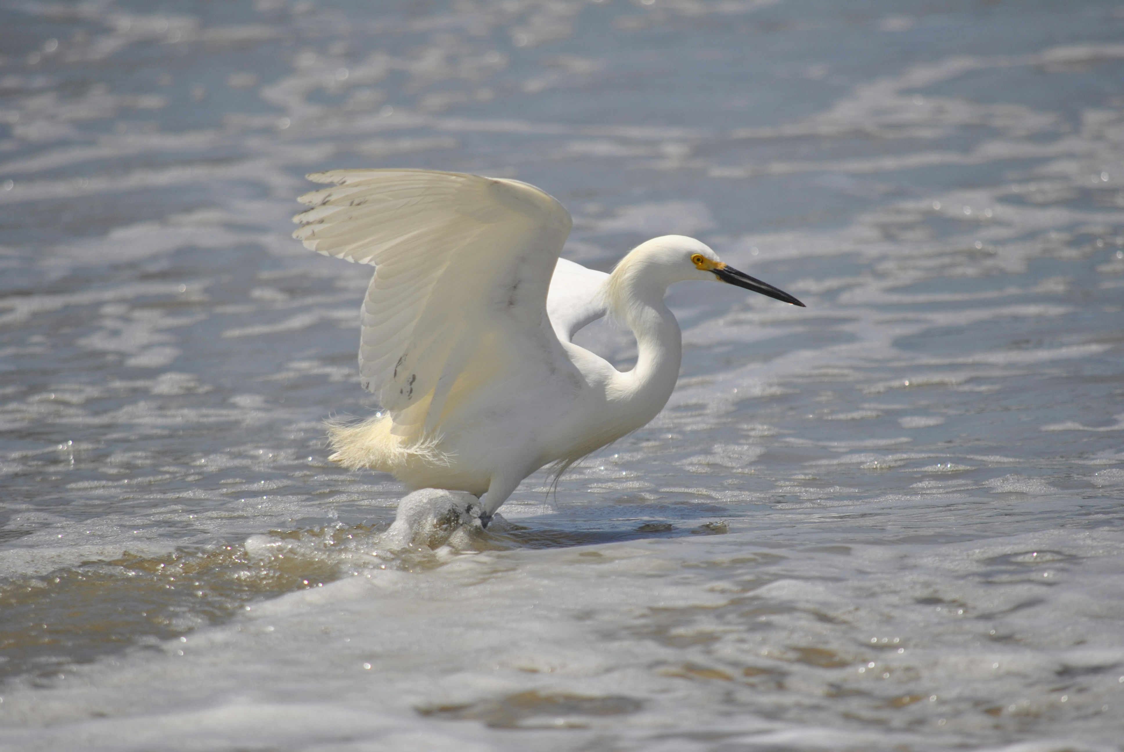 Photo by happy1sojourn