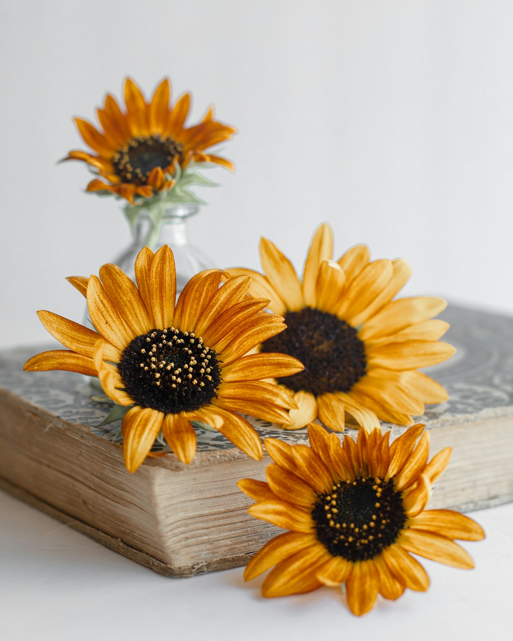 yellow sunflower on brown wooden table