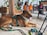 A happy customer using Echohound's networking solutions in a dog-friendly environment.