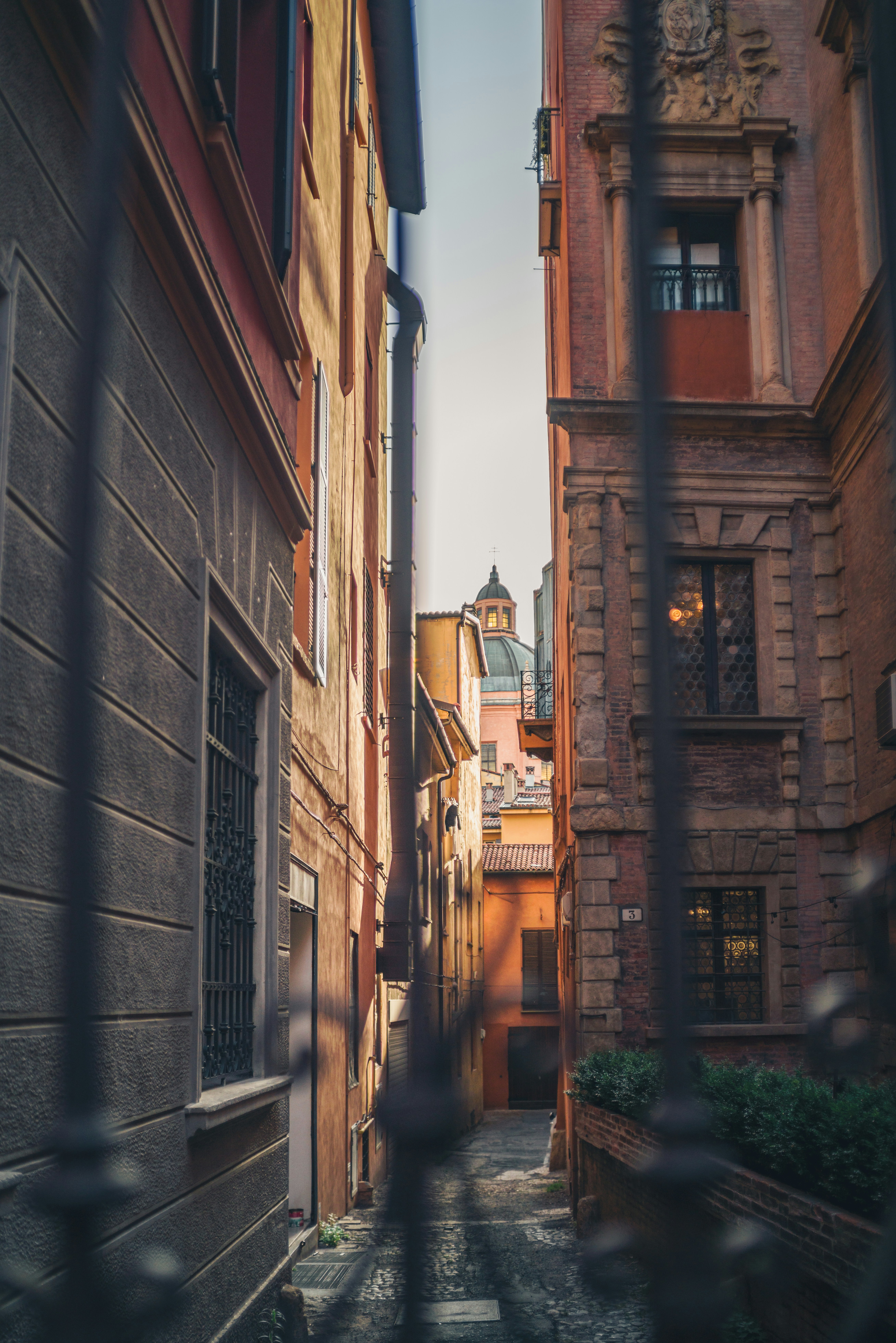 Photo by danielsessler