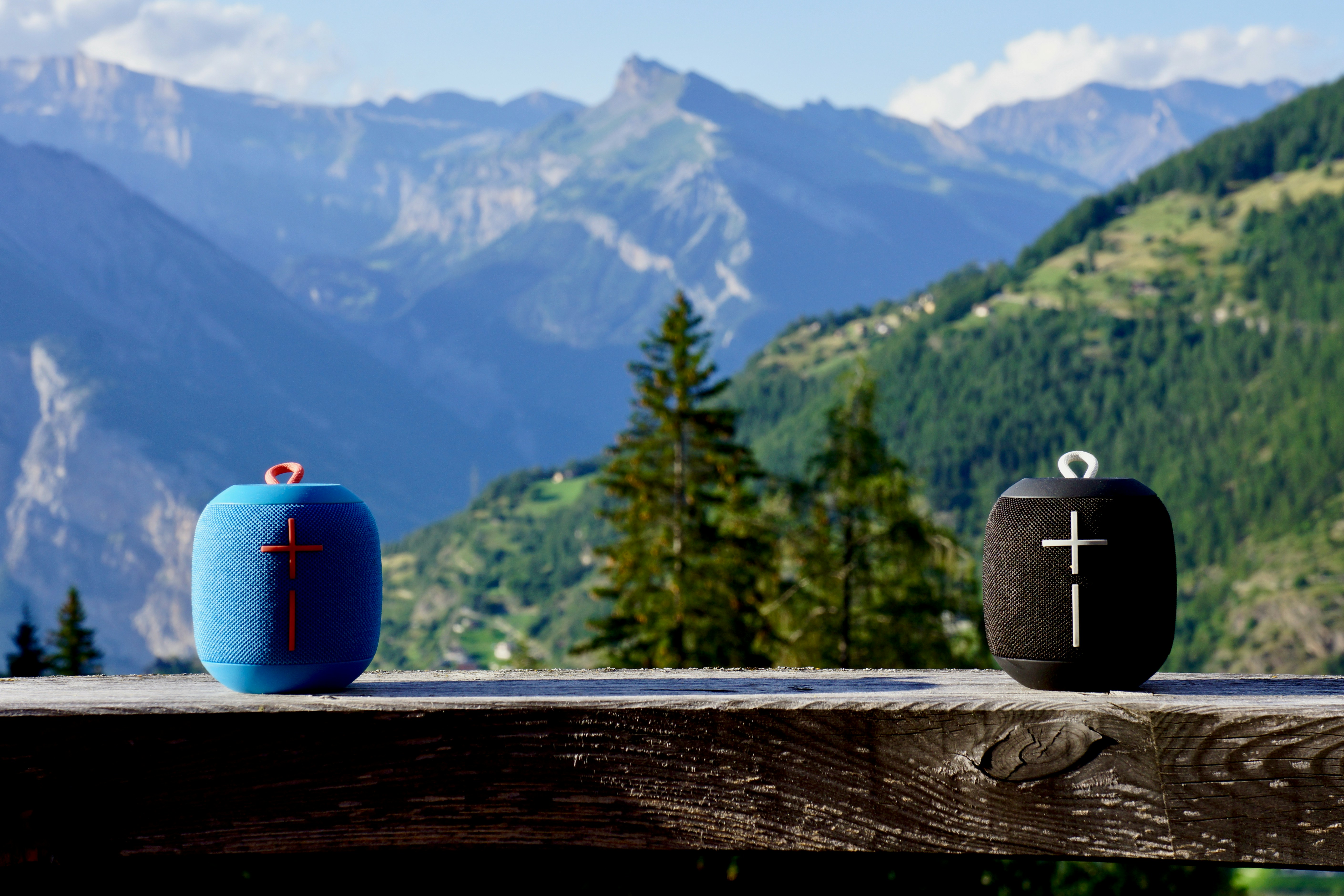 blue can on brown wooden fence
