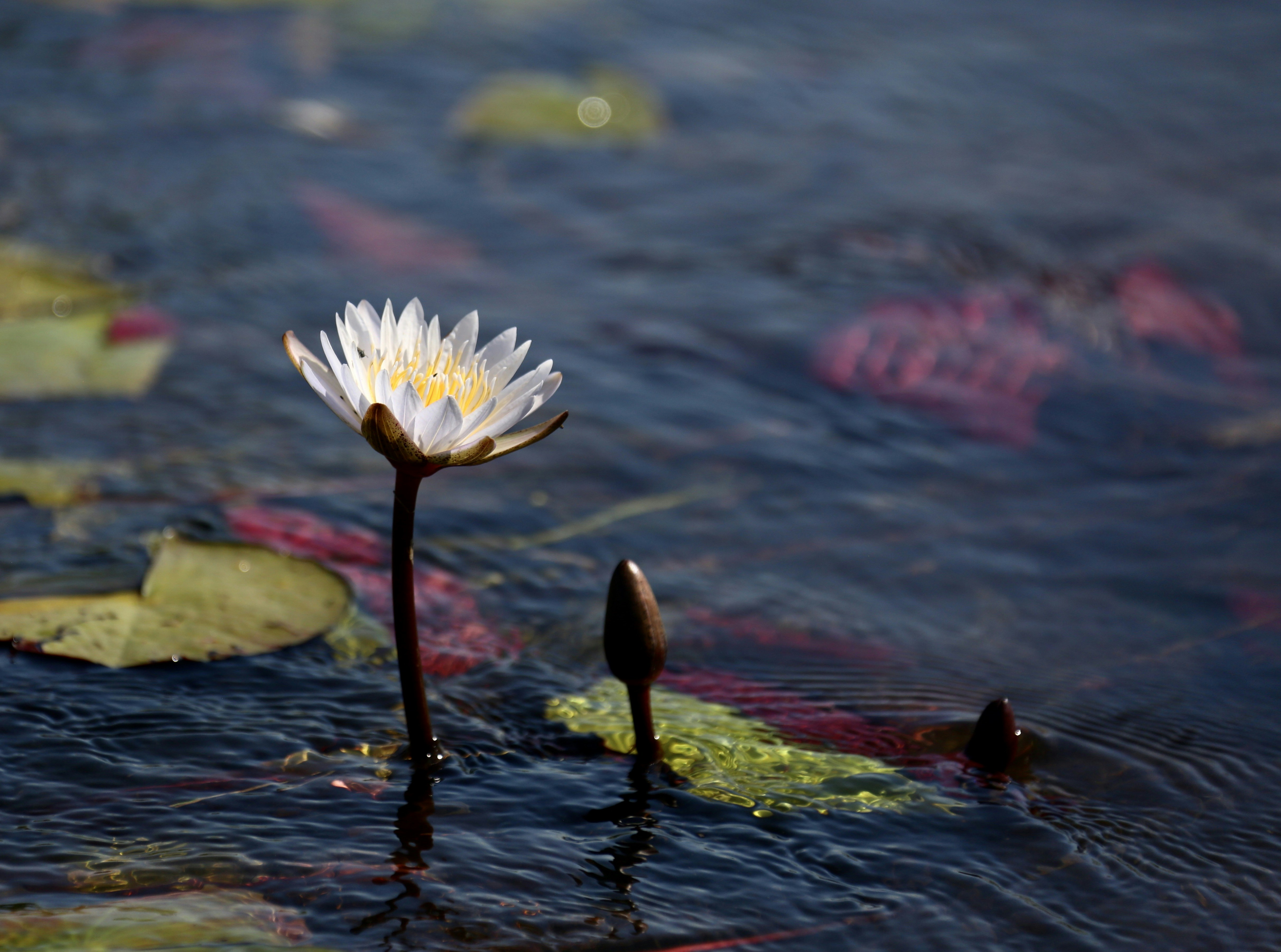 Photo by happy1sojourn