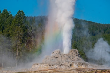 white smoke coming from green trees