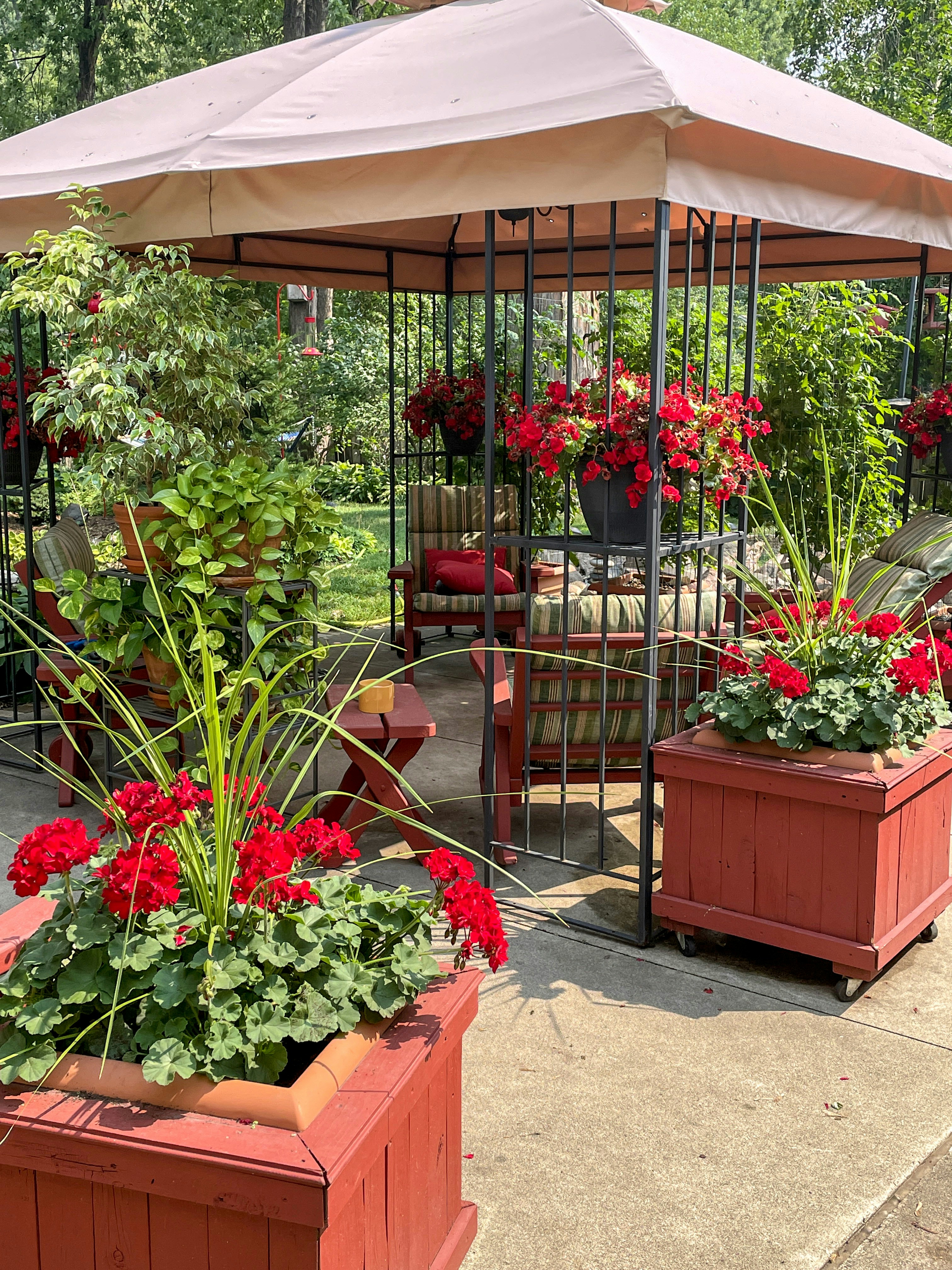 Modular Garden Gazebo