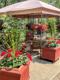 A cozy backyard scene featuring a gazebo with a vibrant Solara Veil canopy.