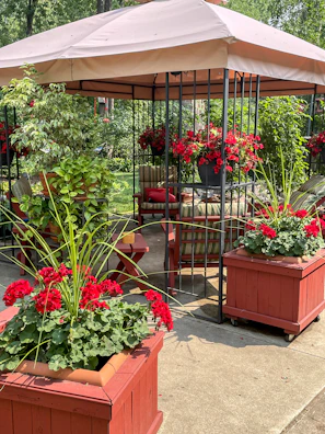 Elegant hardtop gazebo set up for a garden party surrounded by blooming flowers.