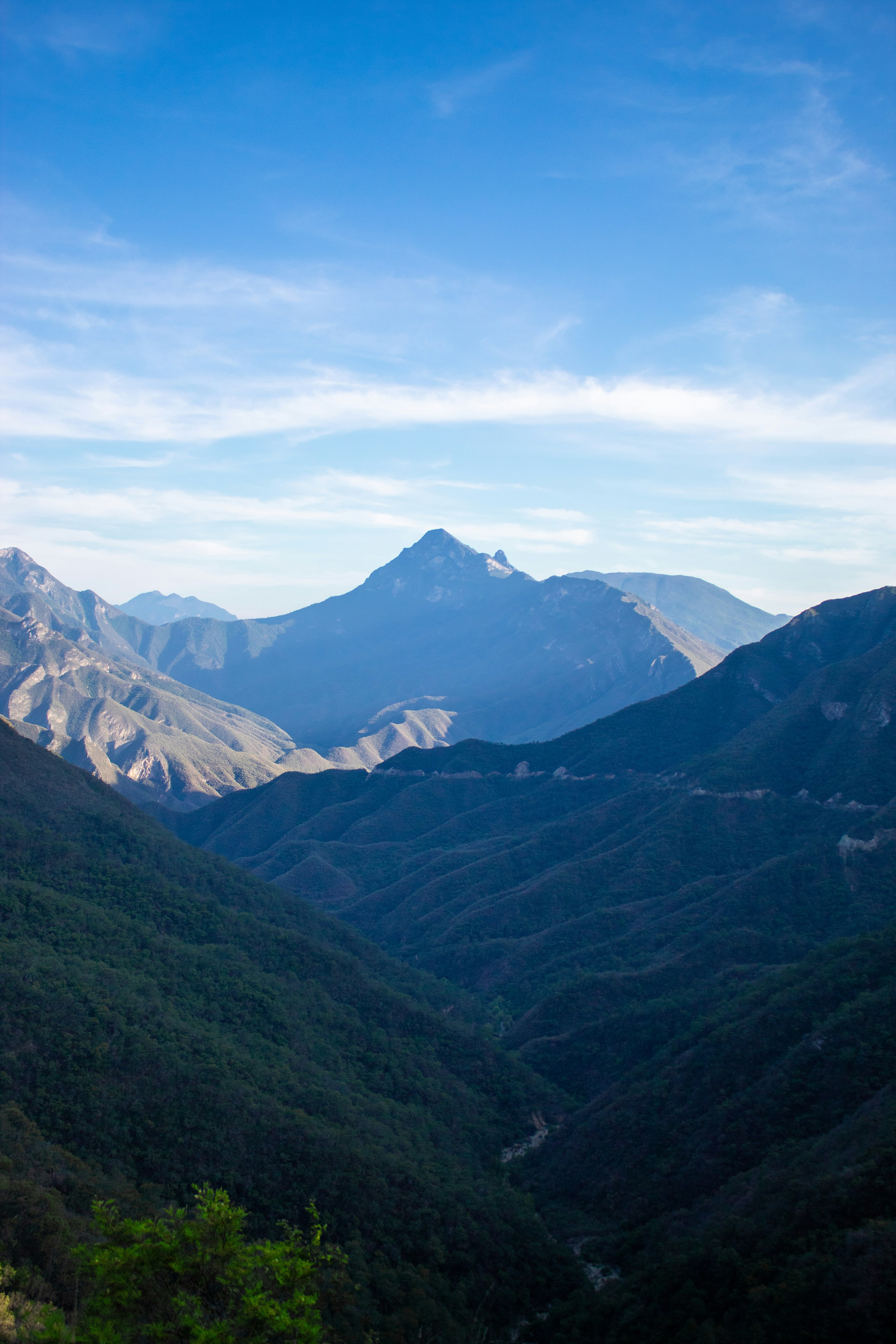 Photo by osvaldoortega01