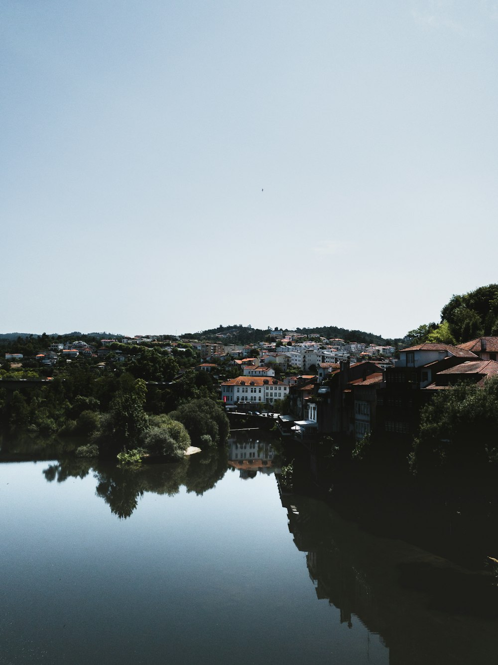 body of water near green trees during daytime