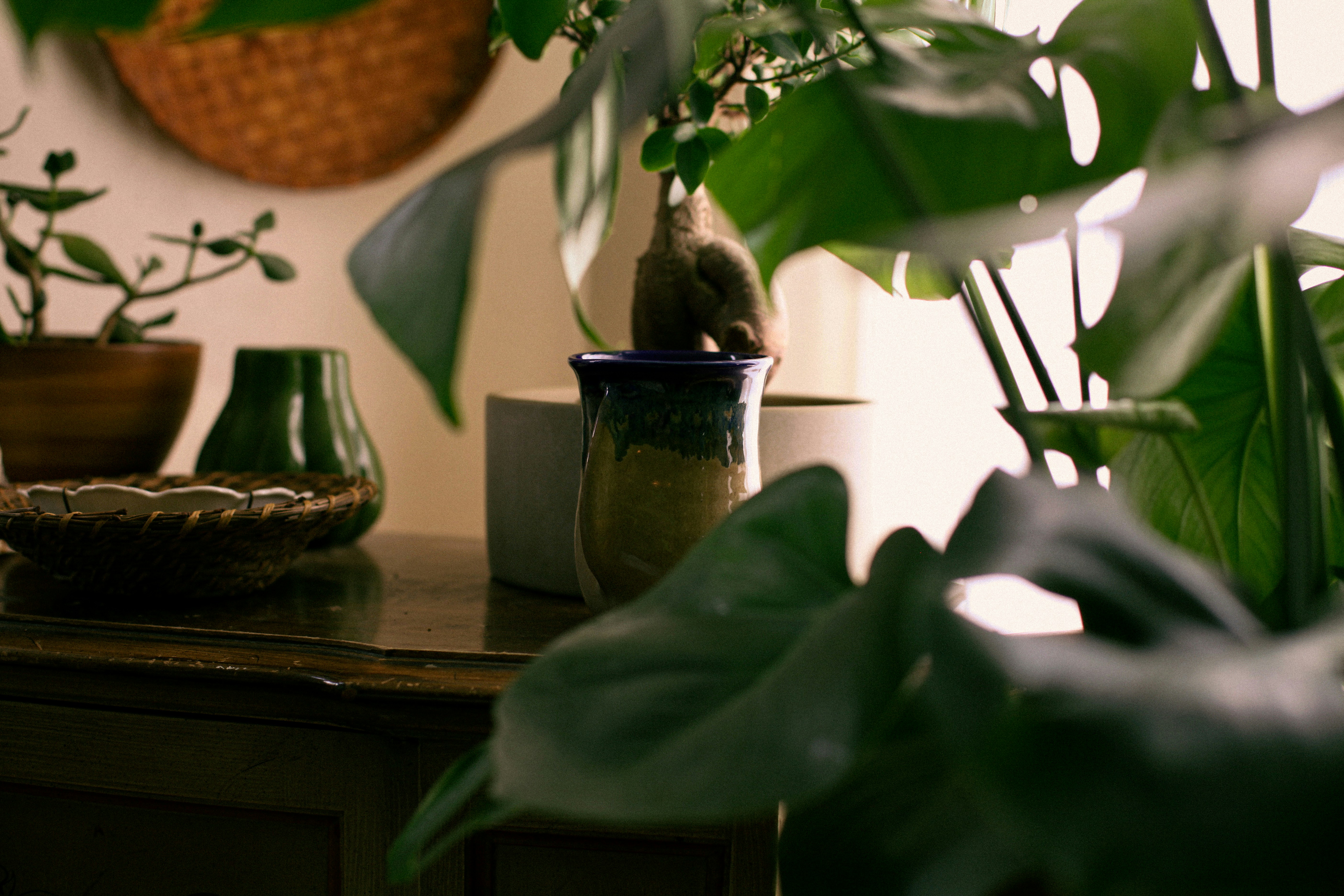 Photo by kyledotnelson