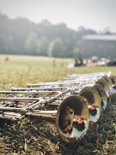 A collection of brass trumpets lies on the grass, the sunlight reflecting off their shiny surfaces. The background features a field with blurred trees and a building, suggesting an outdoor setting.